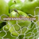 Stainless Steel Wire fruit basket Bowl