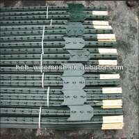 High Quality &Low Price Heavy Duty T Fence Post/5ft 6ft 10ft etc Farm Fence T post(Painted And Galvanized) Direct Factory